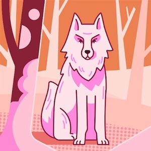 Meet your Posher, Jayden